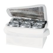Cooler bag 6 x 0.33 l Aspen