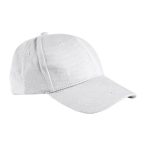 Toronto Cap