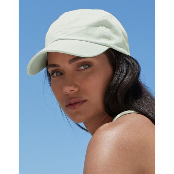 Low Profile 6 Panel Dad Cap