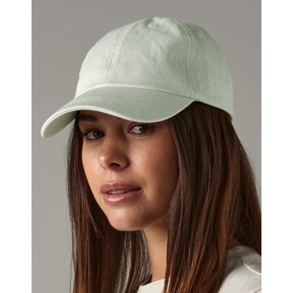 Low Profile 6 Panel Dad Cap