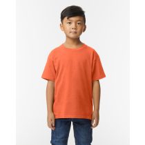 Softstyle Midweight Youth T-Shirt