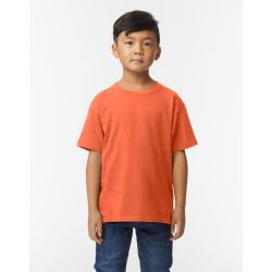 Softstyle Midweight Youth T-Shirt
