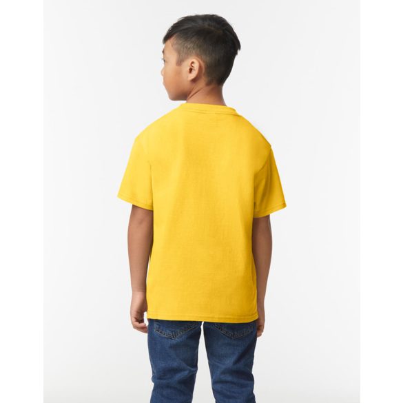 Softstyle Midweight Youth T-Shirt