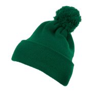 Cuffed Pom Pom Knit Beanie