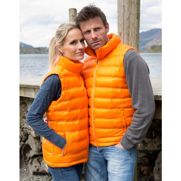 Ladies' Ice Bird Padded Gilet