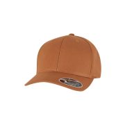 Flexfit 110 Curved Snapback