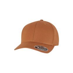 Flexfit 110 Curved Snapback