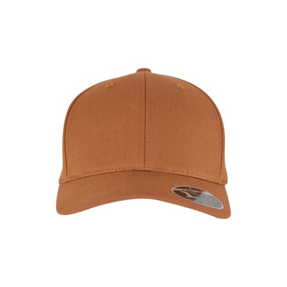 Flexfit 110 Curved Snapback