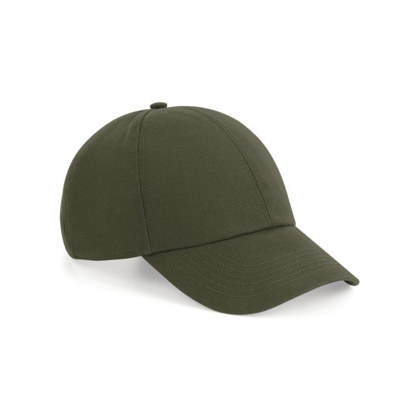 Organic Cotton 6 Panel Cap