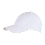 6 panel cap PITCHER