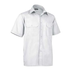 Short Shirt Academy WHITE 38