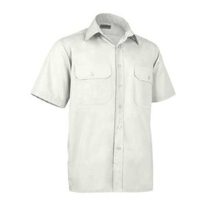 Short Shirt Academy IVORY 48