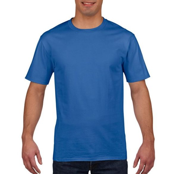 GI4100 T-shirt Royal 2XL