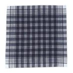 Square Handkerchief Hierbas WHITE-BLUE Adult