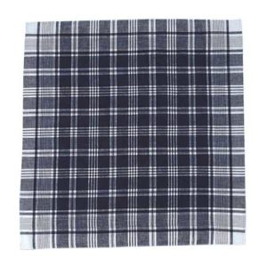 Square Handkerchief Hierbas WHITE-BLUE Adult