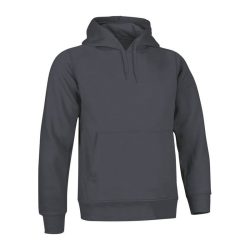 sweatshirt ARIZONA
