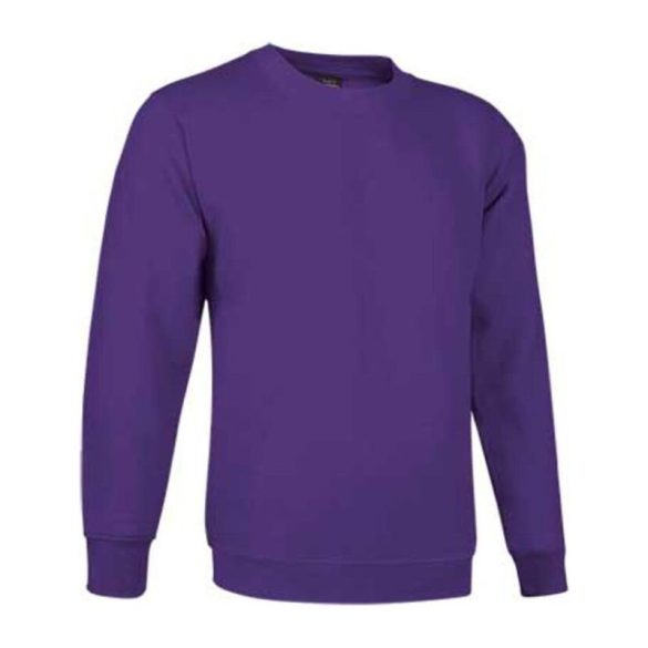 Sweatshirt Dublin GRAPE VIOLET S