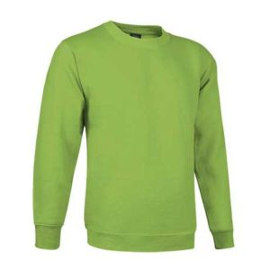 Sweatshirt Dublin Kid APPLE GREEN 10/12