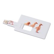 Creditcard. USB flash 16GB     MO1059-06, white, 16G