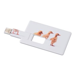 Creditcard. USB flash 32GB     MO1059-06, Plastic, white, 32G