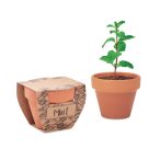 Seminte menta in ghiveci de ter, Terracotta, wood