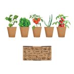 Kit crestere salata, Carton, beige