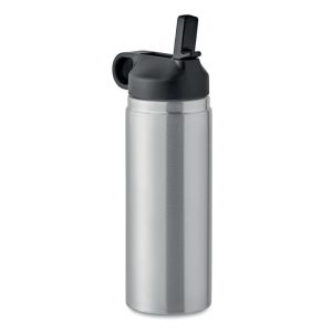 Sticla cu perete dublu 500 ml, Stainless steel, matt silver