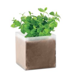 Compost cu seminte "MINT", Soil Tablet, beige