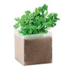   Compost cu seminte "PARSLEY", Item with multi-materials, beige