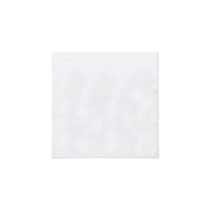 Carpa de curatat RPET 13x13cm, PET, white