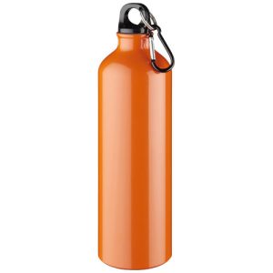 Pacific bottle with carabiner