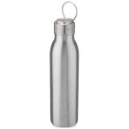 Harper 700 ml stainless steel water bottle with metal loop