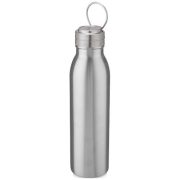Harper 700 ml stainless steel water bottle with metal loop