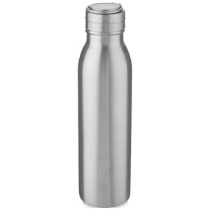 Harper 700 ml stainless steel water bottle with metal loop