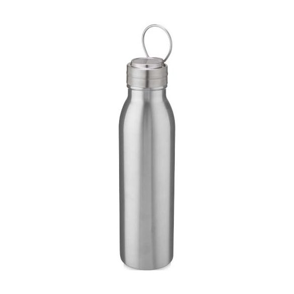 Harper 700 ml stainless steel water bottle with metal loop