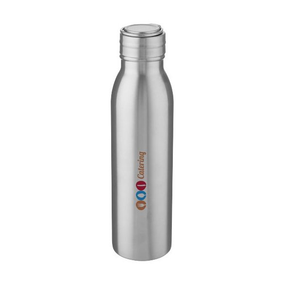 Harper 700 ml stainless steel water bottle with metal loop