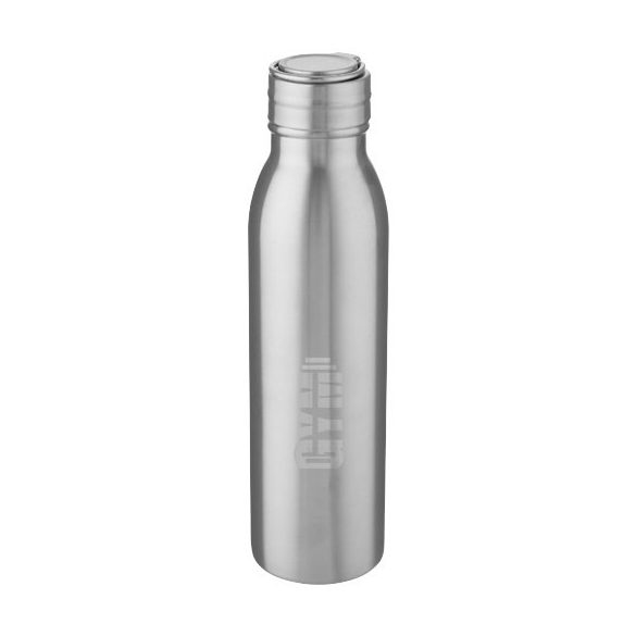 Harper 700 ml stainless steel water bottle with metal loop