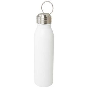 Harper 720 ml RCS certified stainless steel water bottle with metal loop