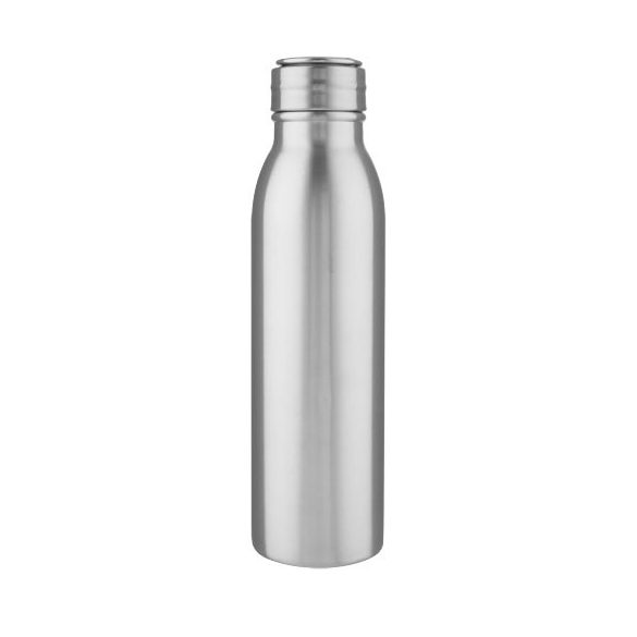 Harper 700 ml RCS certified stainless steel water bottle with metal loop