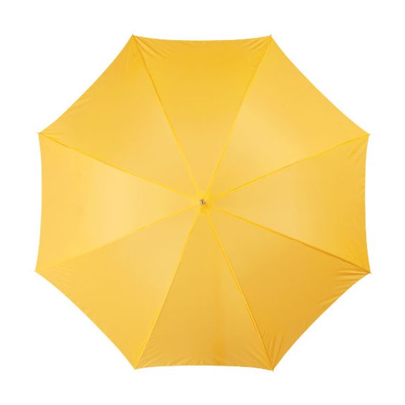 Lisa 23" auto open umbrella with wooden handle