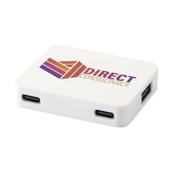 Gaia 4-port USB hub with USB-A and Type-C output and dual input - made from recycled plastic