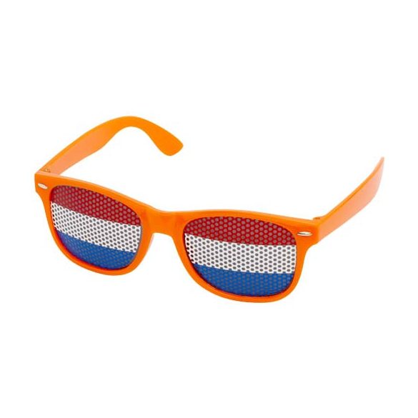 Vision sunglasses