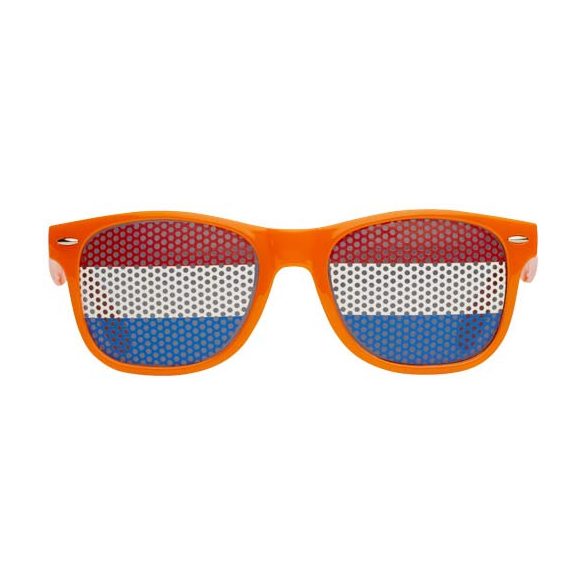 Vision sunglasses