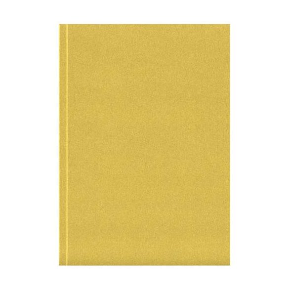 Novella Austen A5 metallic soft cover notebook - 100 sheets
