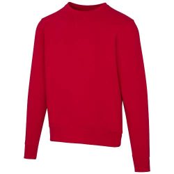 Arora 300 g/m2 unisex crewneck sweater