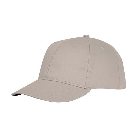 Ares 6 panel cap