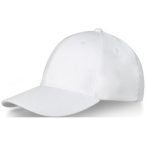 Davis 6 panel cap