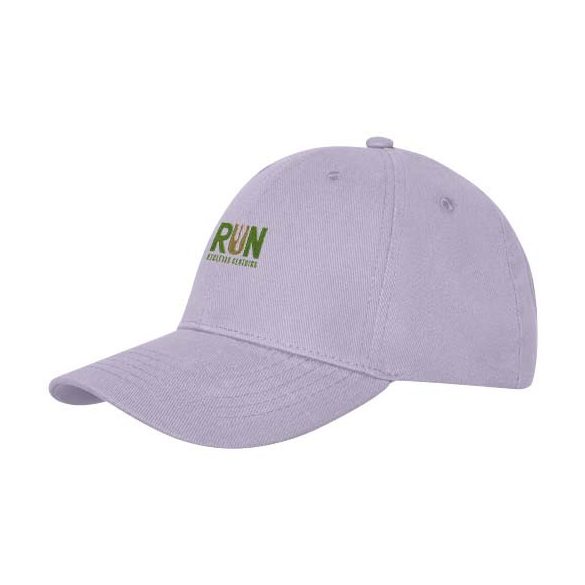 Davis 6 panel cap