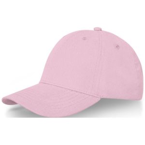 Davis 6 panel cap