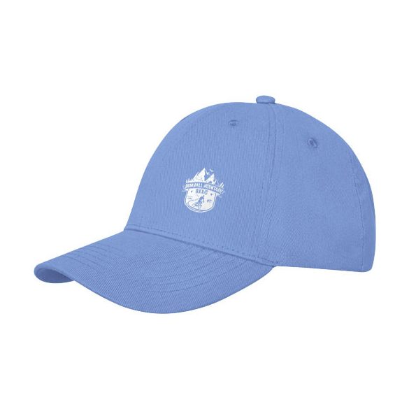 Davis 6 panel cap